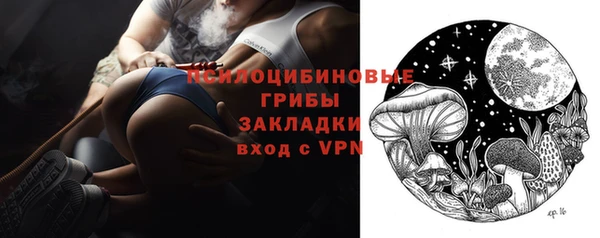 крисы Сатка