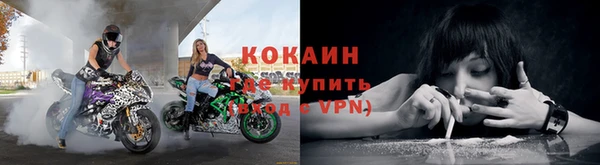 крисы Сатка