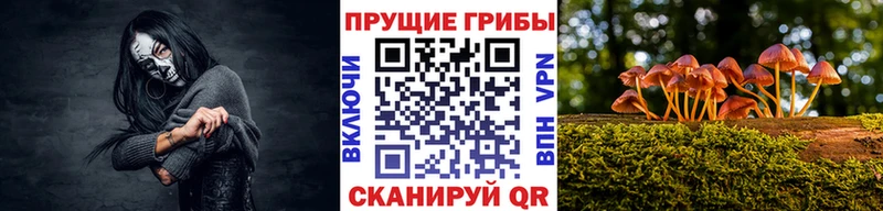 Псилоцибиновые грибы Psilocybine cubensis  цена   Торопец 