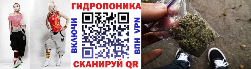 Бошки марихуана VHQ  где можно купить наркотик  Торопец 